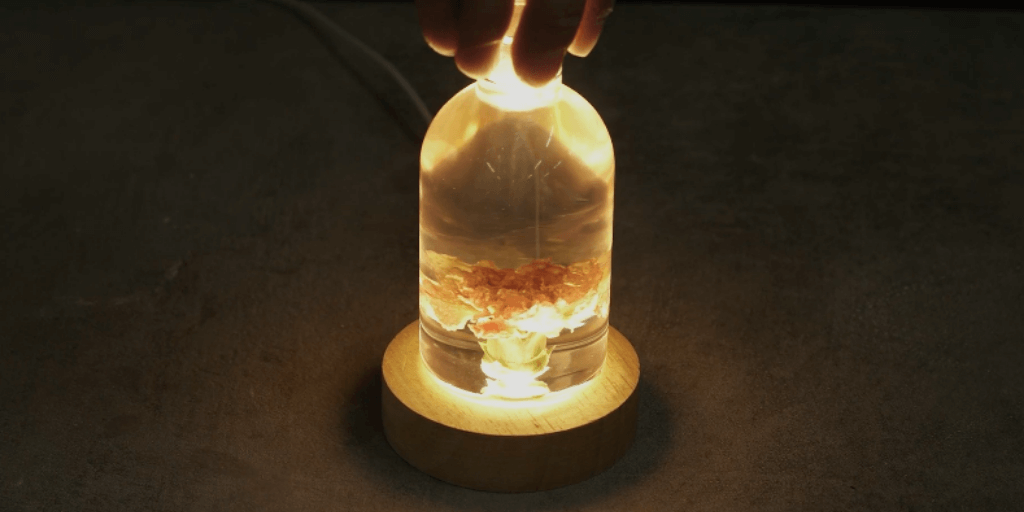 Epoxy Resin Flower Lamp