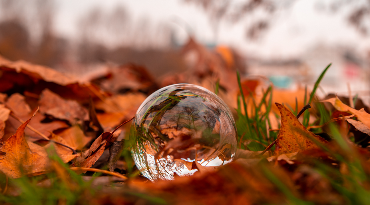 A clear epoxy resin orb sitting on top of a pile of leaves reflecting the scenery around it. 