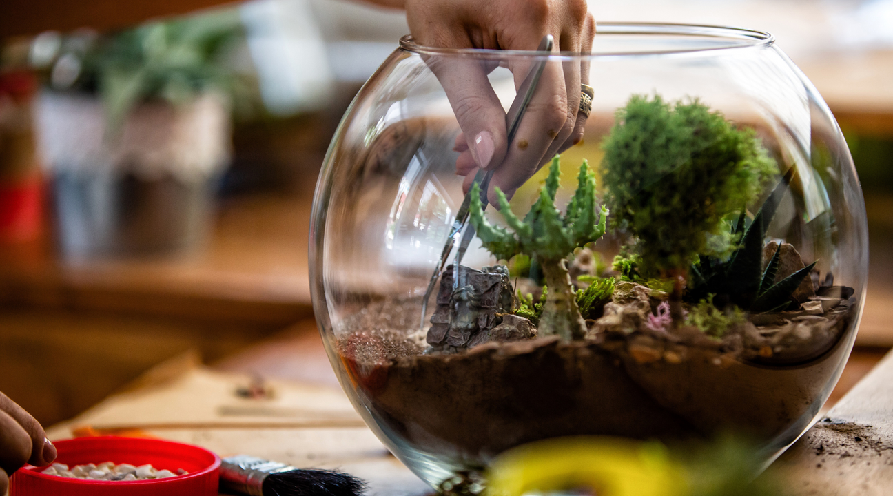 A person meticulously arranges a variety of succulents and moss inside a clear, round epoxy resin terrarium, with crafting tools and supplies visible in the background.