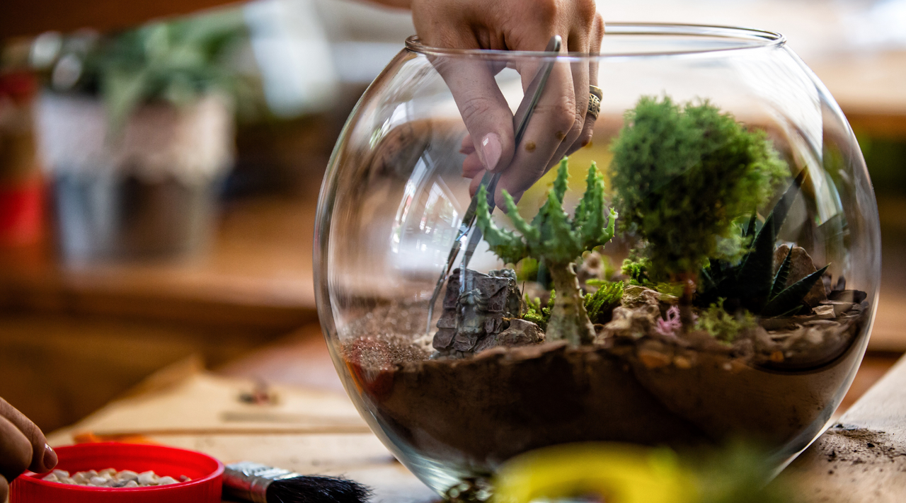 A person meticulously arranges a variety of succulents and moss inside a clear, round epoxy resin terrarium, with crafting tools and supplies visible in the background.