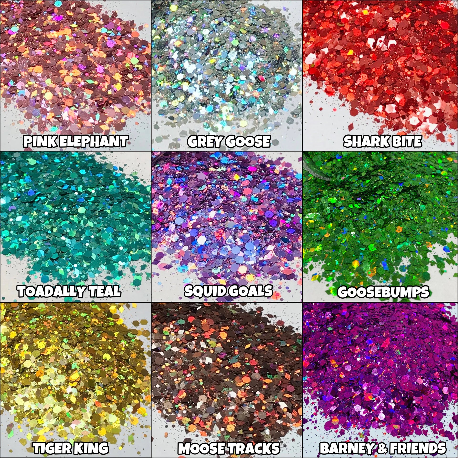 Chunky Holographic Glitter Package